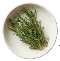 Rosemary Leaf Oil — The Growth Standard